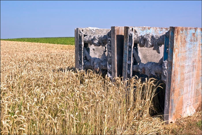 Loading Image