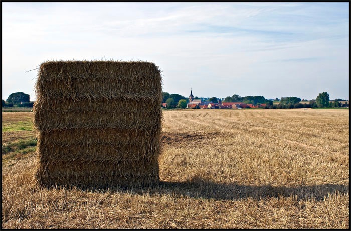 Loading Image