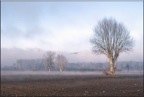 DSC02376-copie.jpg