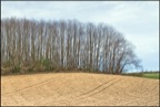DSC03997-copie.jpg
