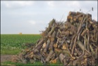 Cambrai-01772-copie.jpg