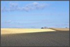 DSC00645.jpg