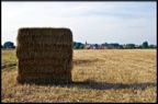 DSC01245-Modifier-2.jpg