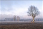 DSC02376-copie.jpg