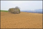 DSC03309-Modifier.jpg