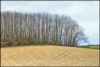 DSC03997-copie.jpg