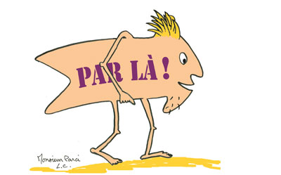 Mr-Parci